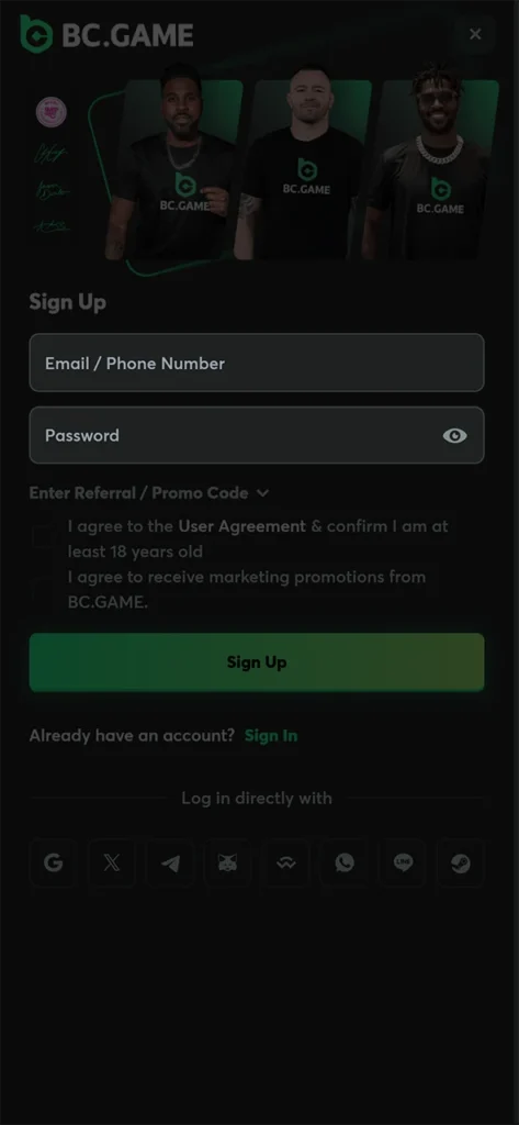 Enter the data required to register for the BC Game.